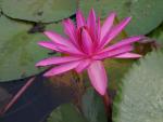 ภาพโดย(T.suwan)
